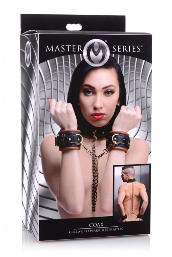 Coax Collar To Wrist Restraints Master Series