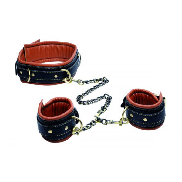 Coax Collar To Wrist Restraints Master Series