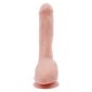 Dildo Carnal Pleasure Flesh