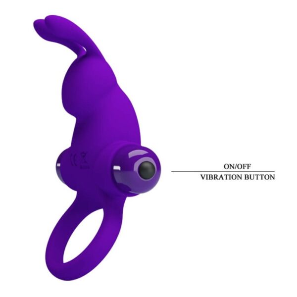 Inel Cu Vibratie Pretty Love Rabbit 10 Functii Purple Inel Cu Vibratie Pretty Love Rabbit 10 Functii Purple