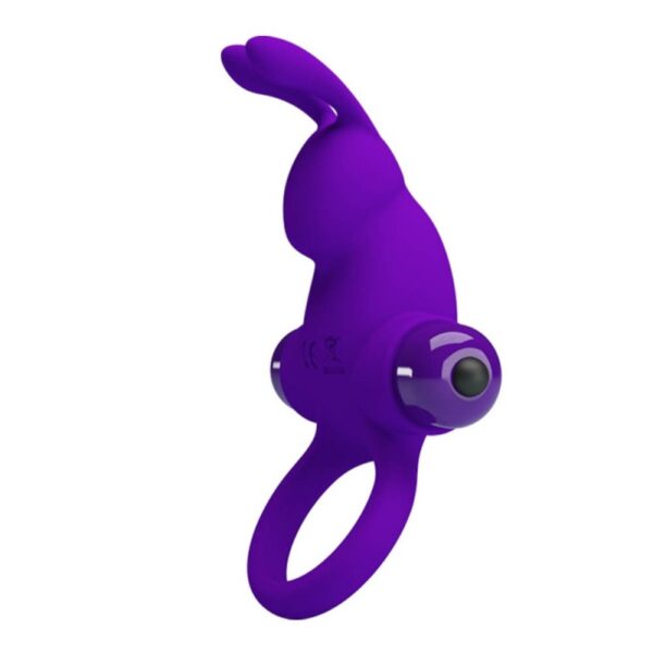 Inel Cu Vibratie Pretty Love Rabbit 10 Functii Purple Inel Cu Vibratie Pretty Love Rabbit 10 Functii Purple