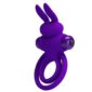 Inel Cu Vibratie Pretty Love Rabbit Double 10 Functii Purple