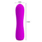 Vibrator Beau