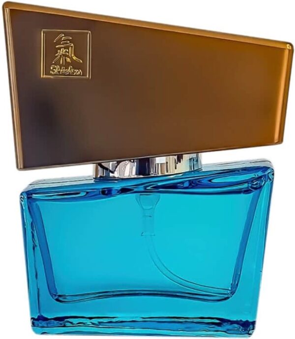 26 HOT SHIATSU Pheromon Fragrance Man - Lightblue - 15 ml lightblue