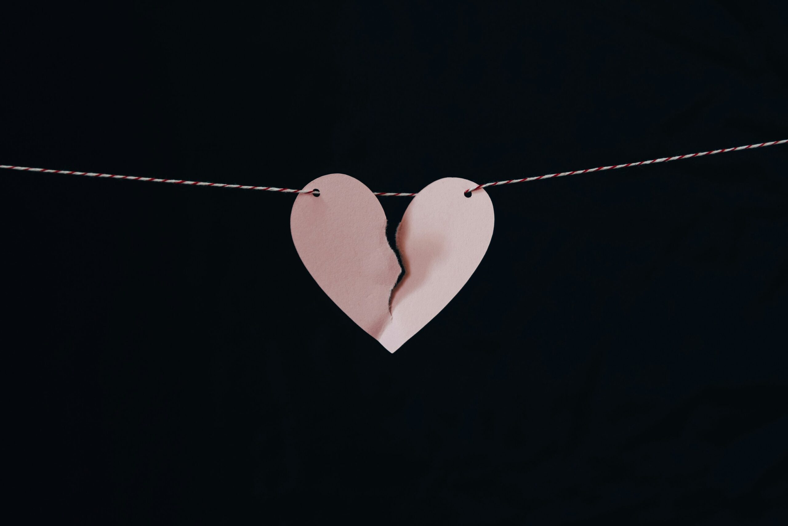 Kelly Sikkema E8H76nY1v6Q Unsplash Scaled